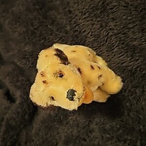 Collection dalmatier